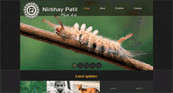 Desktop Screenshot of nirbhaypatilphotoarts.com